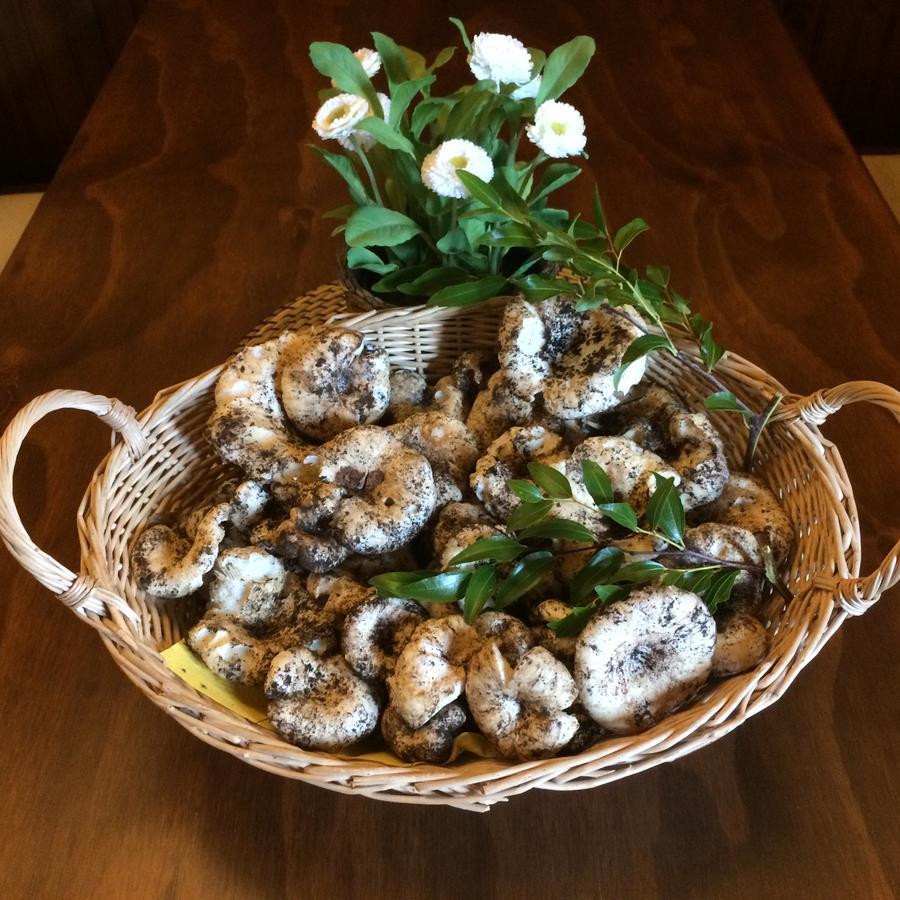 Agriturismo Fasano 카사노 델레 무르제 외부 사진